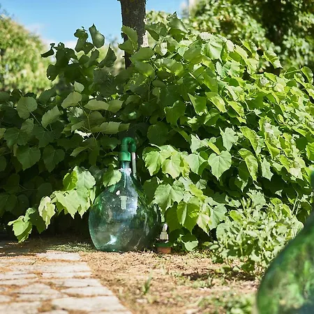 Il Mercatale Di Radda * Radda in Chianti