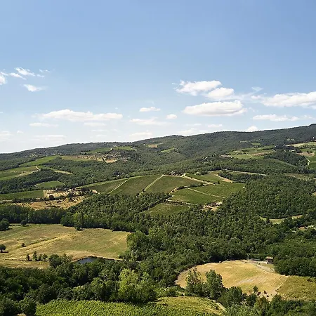 Il Mercatale Di Radda 别墅 *